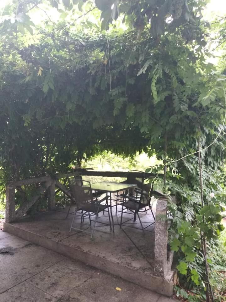 Вілла Casa Da Vovo Амаранте Номер фото
